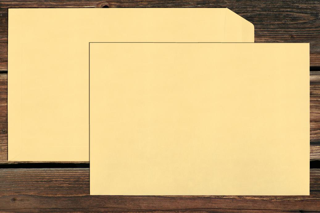 Versandtaschen 220x312 mm Nassklebend Chamois 120 g/qm